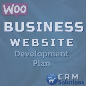 crm solutions woocommerce website business development plan 800 1