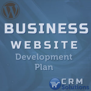 crm solutions wordpress website business development plan 800 1